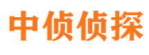 崇阳侦探公司